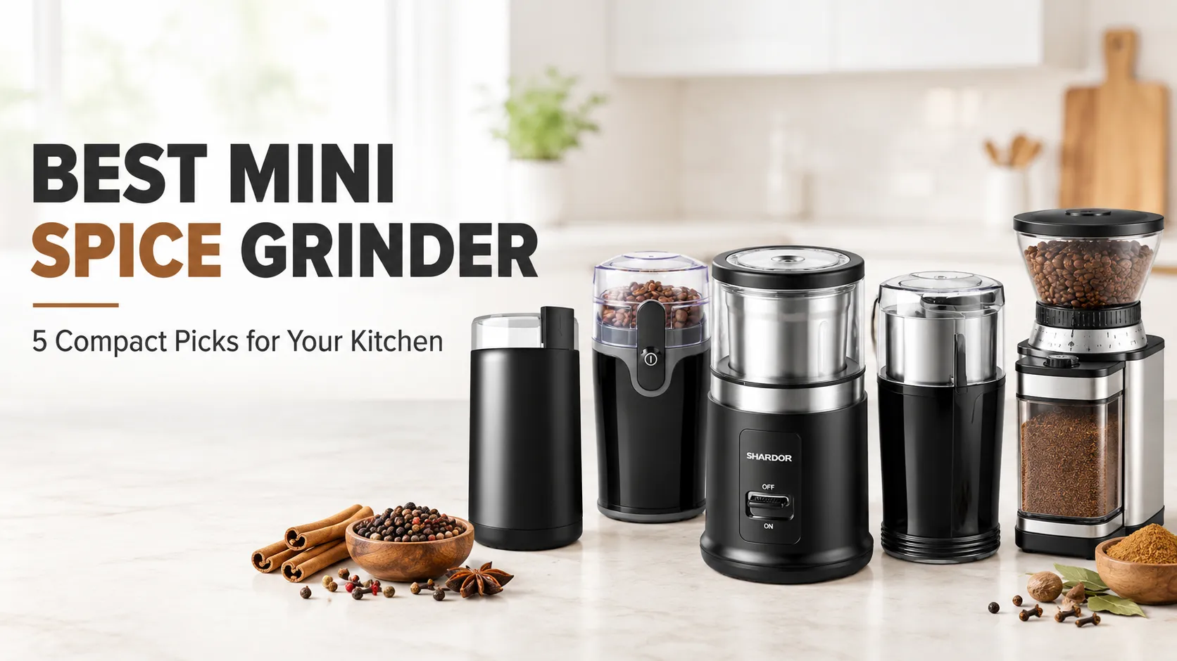 Best Mini Spice Grinder (2026)