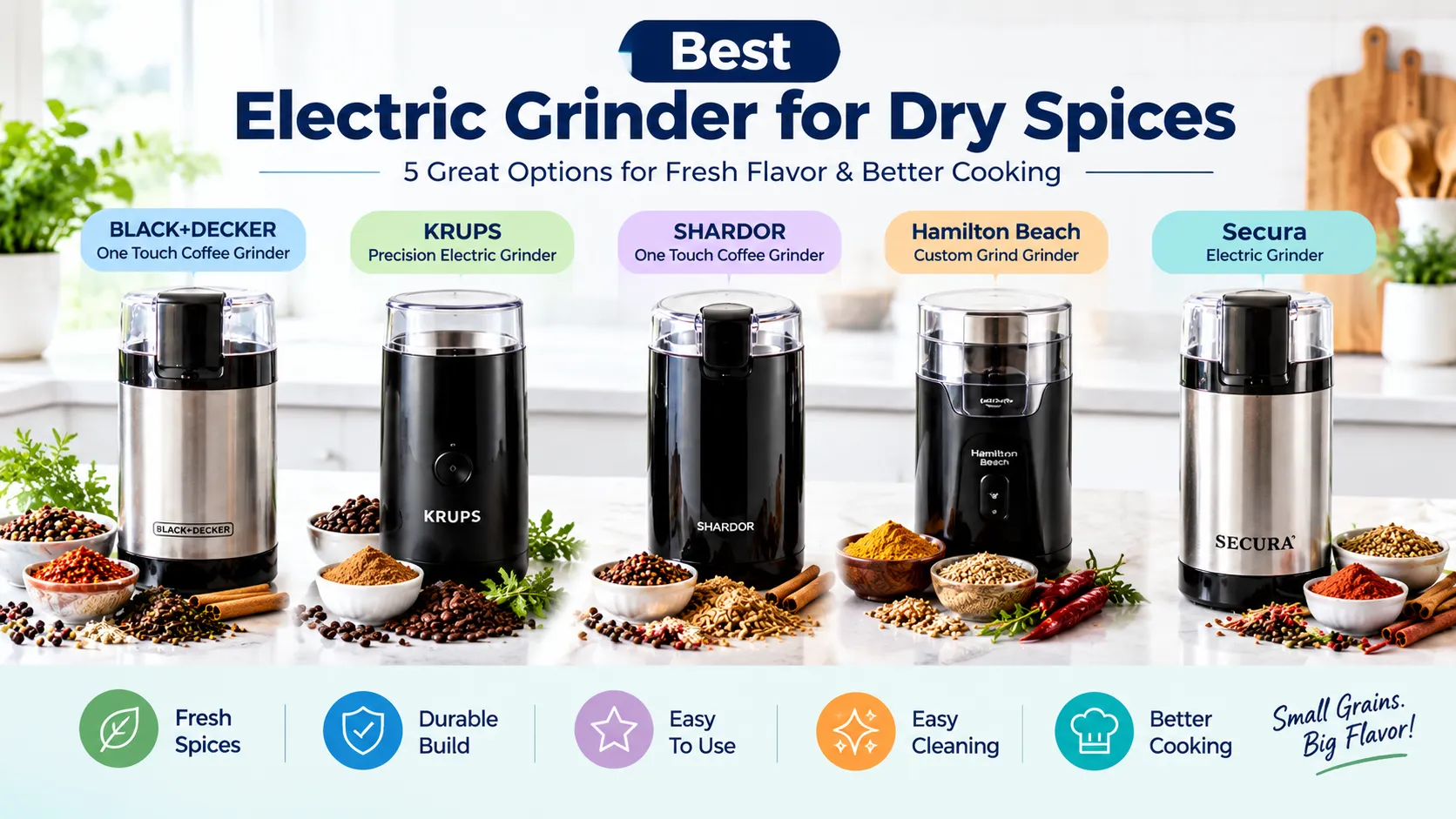 Best Electric Grinder for Dry Spices